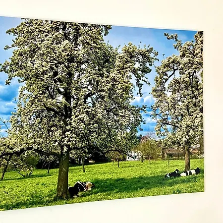 Traumferienwohnung Zwischen Koeln Und Duesseldorf * Leichlingen