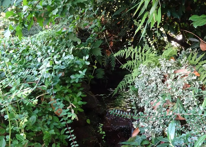 Traumferienwohnung Zwischen Koeln Und Duesseldorf *