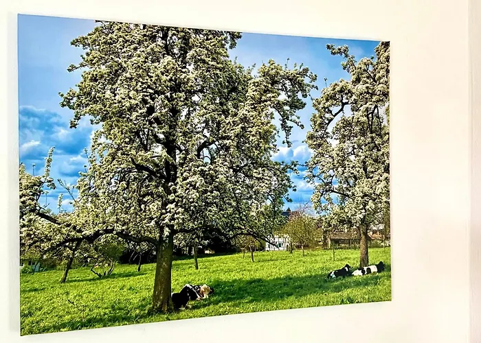 Traumferienwohnung Zwischen Koeln Und Duesseldorf * Leichlingen